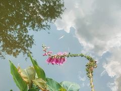 -人民公园(罗湖区)