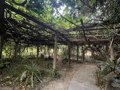 -广西壮族自治区药用植物园