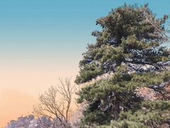 -少华山国家森林公园