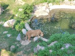 -石家庄市动物园