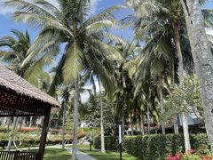 -石梅湾艾美度假酒店