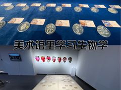 -天津美术学院-校史馆