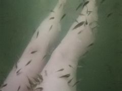 -三江森林温泉度假区