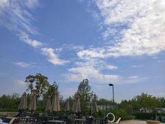 -盐官日光域房车营地·有盐餐厅