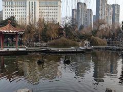 -西苑公园