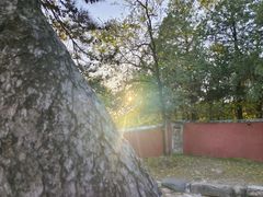 -潭柘寺景区