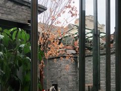 -VOYAGE COFFEE(杨梅竹店)