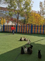 -萌宠亲子动物乐园(槐房万达店)