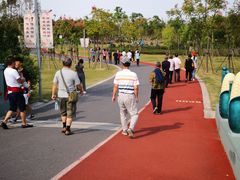 -上海长兴岛郊野公园