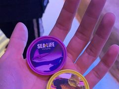 -沈阳海洋探索中心