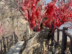 -秦岭终南山世界地质公园翠华山景区