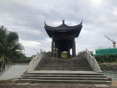 -飞来湖湿地公园