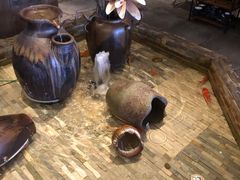 -同仁四季椰子鸡(宝安壹方城店)