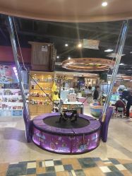 -卡通尼·Safari非洲探索乐园·生日会(金桥国际商业广场店)