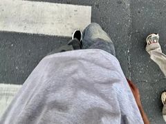 -万绿园
