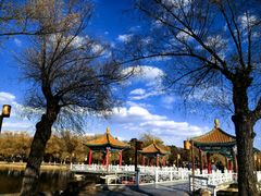 -长春市南湖公园