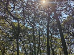 -昆明市金殿名胜区