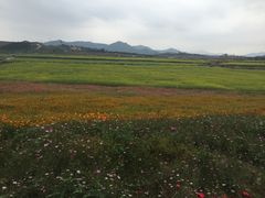 -光明小镇欢乐田园