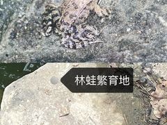 -北京上方山国家森林公园