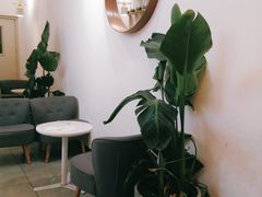 -树夏(金楠天街店)
