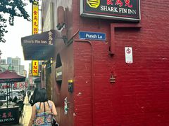 -食为先(Shark Fin)
