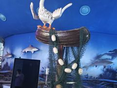 -烟台海昌鲸鲨海洋公园
