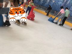 -世界之窗阿尔卑斯冰雪世界