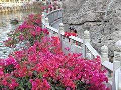 -南国桃园旅游度假区