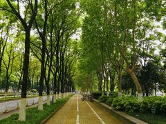 -后襄河公园