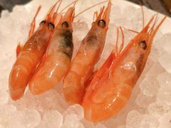 -隐泉京望日式料理(太和广场店)