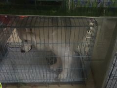 -狗舍宠物医院(四季商业广场店)