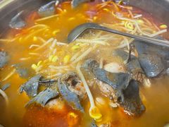 -弘烨 贵州酸汤 鱼火锅(东财店)