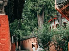 -报恩寺(平武县)