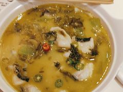 -鱼你在一起(新森兰花园城店)