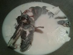 -咕嘟草帽鱼·牛奶一样的鲜鱼汤(包河万达广场创始店)