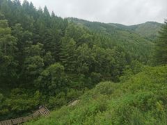 -苏木山森林公园