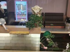 -宏宴·新京菜(望京店)