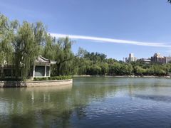 -青年湖公园水上世界