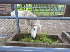 景点-长白岛森林公园