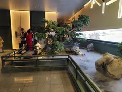 -潮上潮(南中环店)