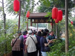-草根堂农场