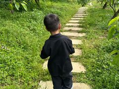 -大罗山风景区