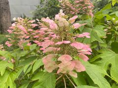 -养云安缦吧THE BAR