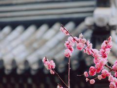 -北海公园
