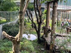 -黔灵山公园