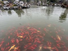 -狼山风景名胜区