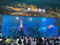 -太奥幻太奇海洋馆
