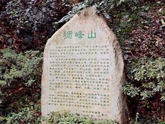 -龙井村