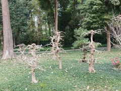 -成都杜甫草堂博物馆