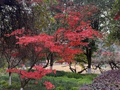 -白马涧龙池景区